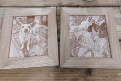 Laser Engraved Pictures