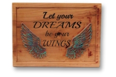 dreamwings